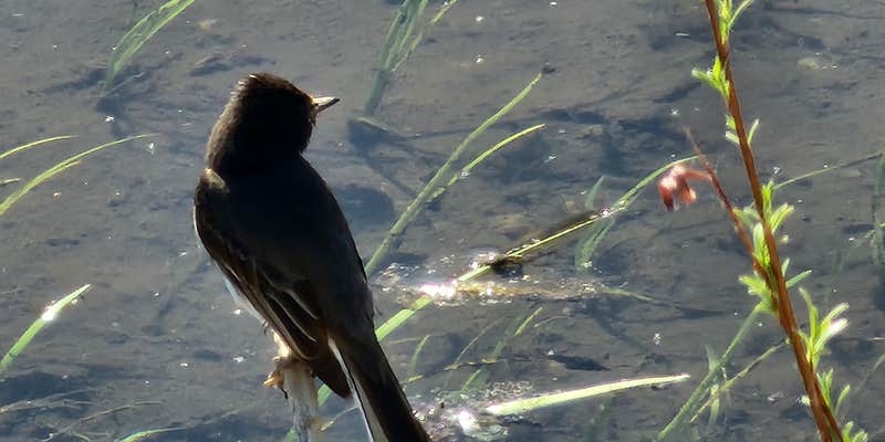 Camper submitted image from Rio Grande RV Park