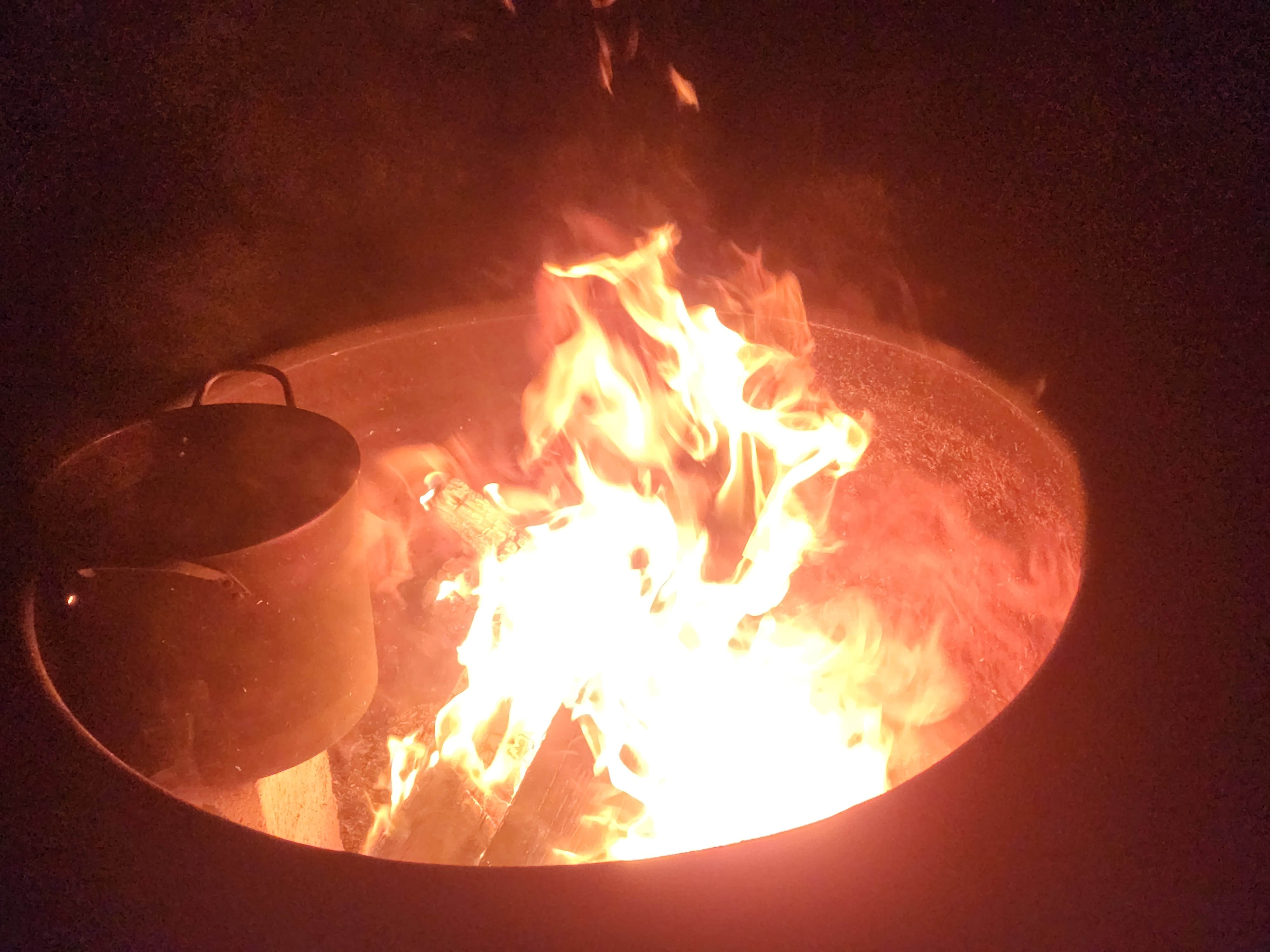 Camper-submitted photo at Rio Grande RV Park near Las Cruces, NM