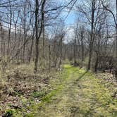 Review photo of Beaver Creek Valley State Park Campground by Patty M., April 17, 2023