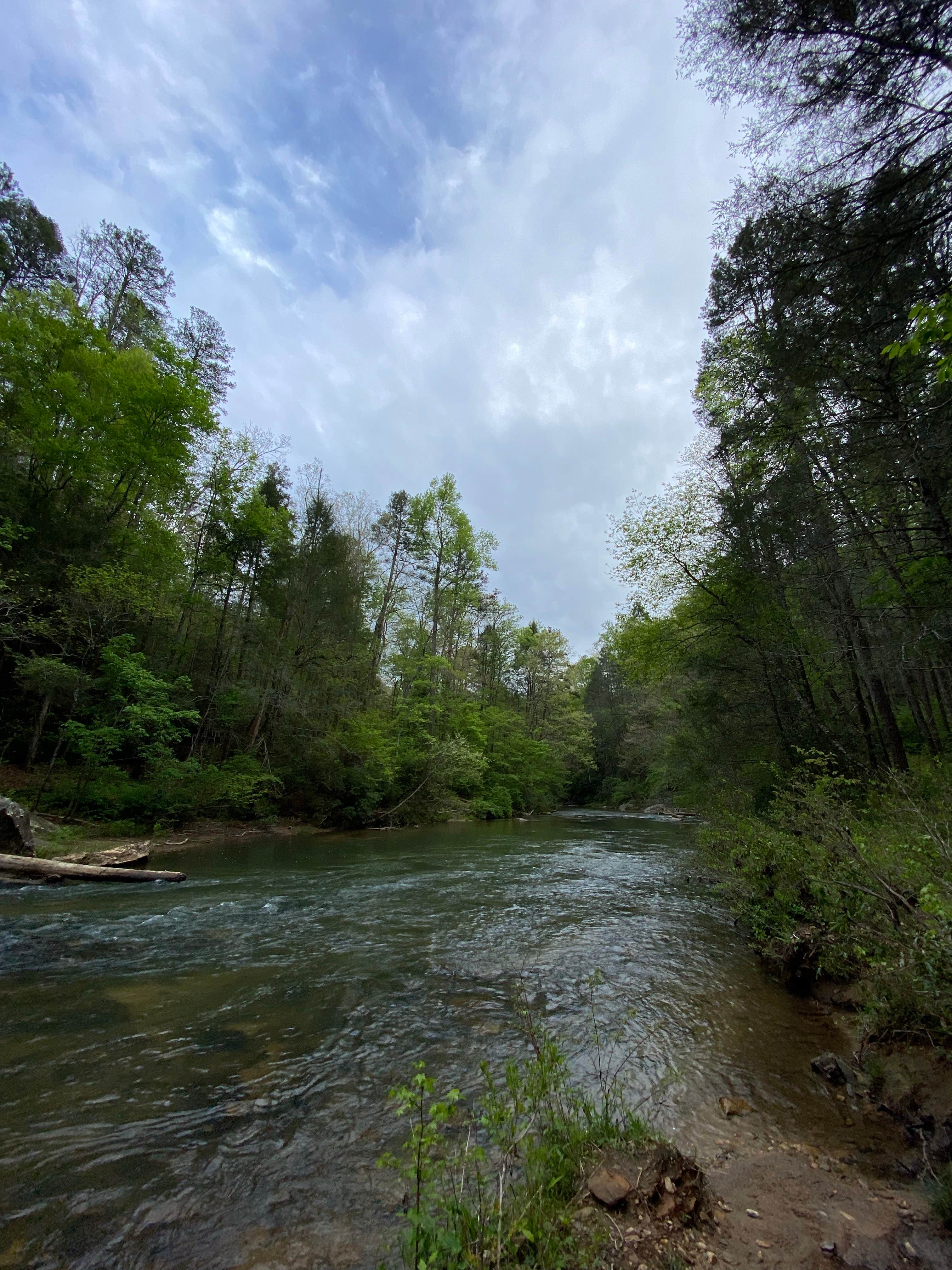 Camper submitted image from Riley Moore Falls Campsite - 3