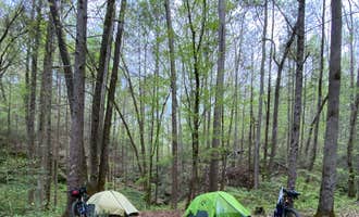 Camping near Crooked Creek RV Park & Marina: Riley Moore Falls Campsite , Long Creek, South Carolina