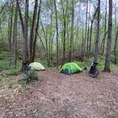 Review photo of Riley Moore Falls Campsite by Robbie B., April 17, 2023