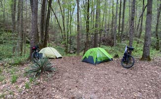 Robbie B.'s photo of tent camping at Riley Moore Falls Campsite near Seneca, SC