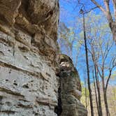 Review photo of Crab Orchard Lake Crab Orchard NWR by Tracie E., April 18, 2023