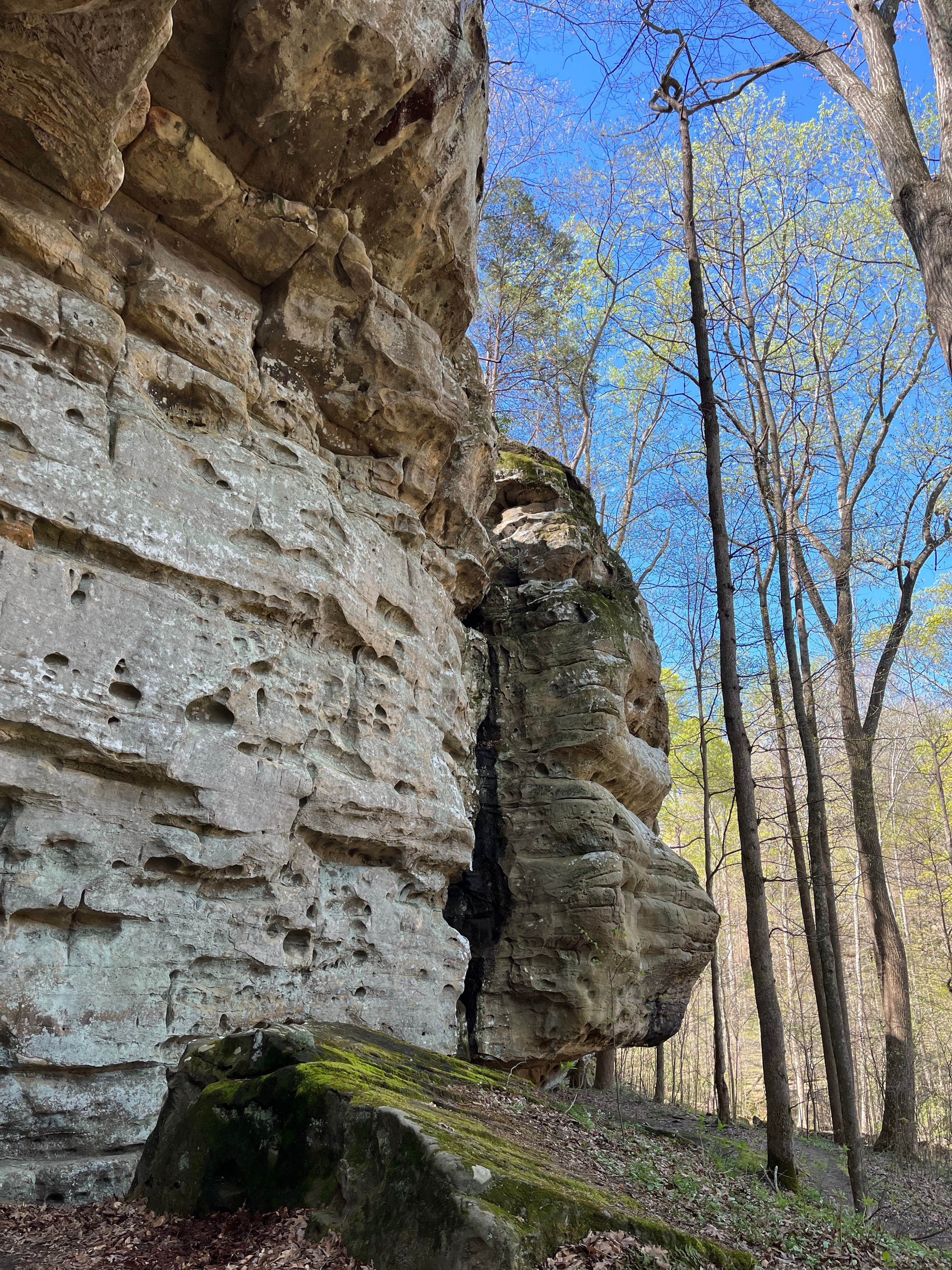 Camper submitted image from Crab Orchard Lake Crab Orchard NWR - 2