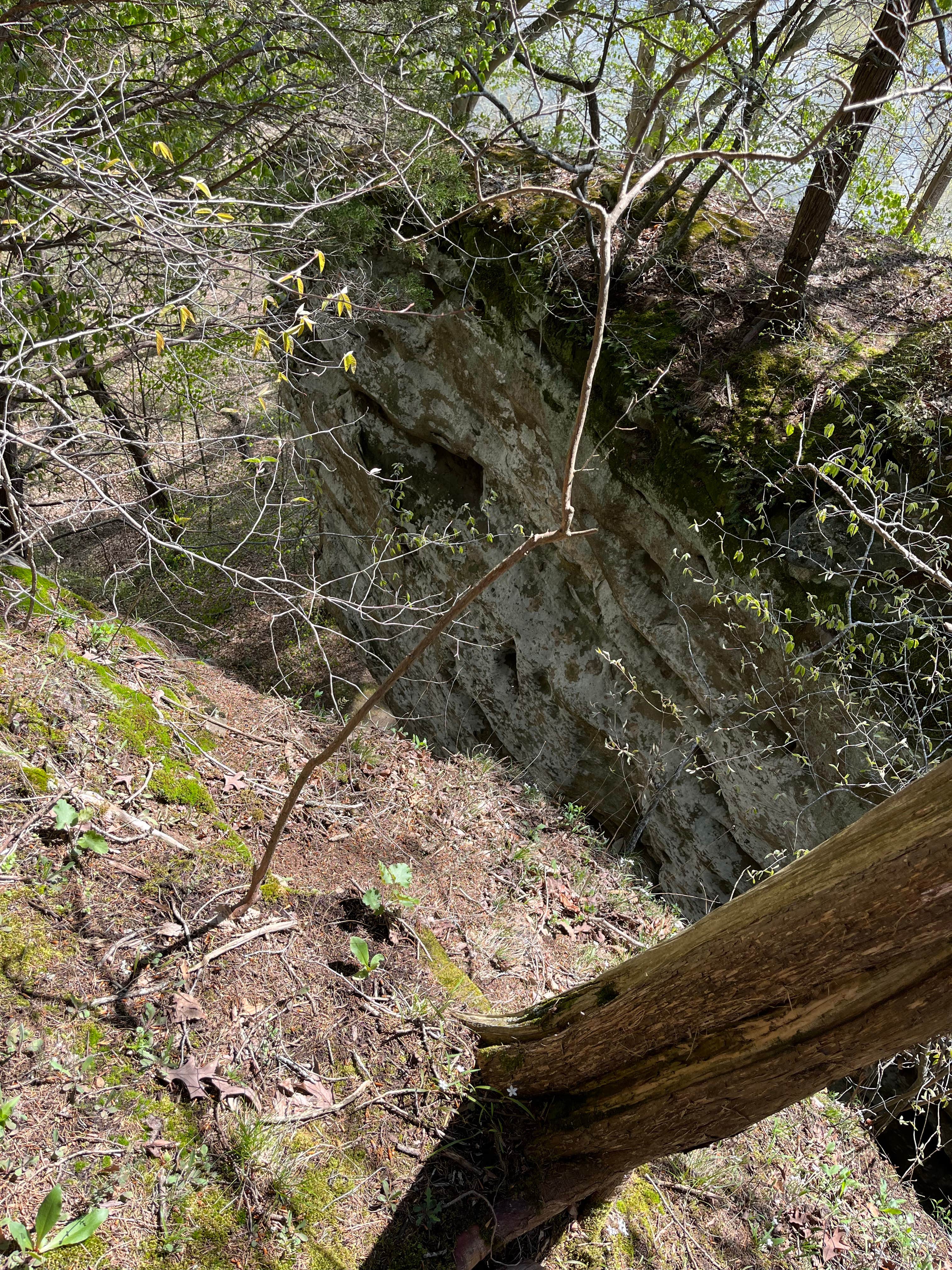 Camper submitted image from Crab Orchard Lake Crab Orchard NWR - 1