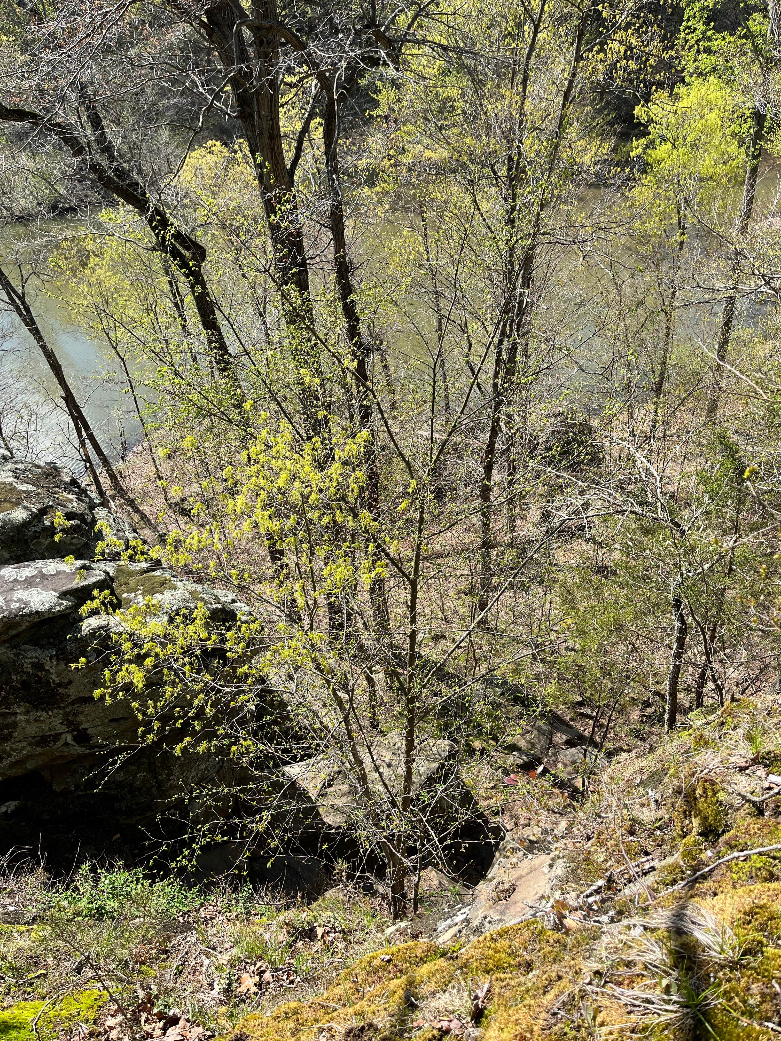 Camper-submitted photo at Crab Orchard Lake Crab Orchard NWR near Whittington, IL