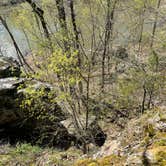 Review photo of Crab Orchard Lake Crab Orchard NWR by Tracie E., April 18, 2023