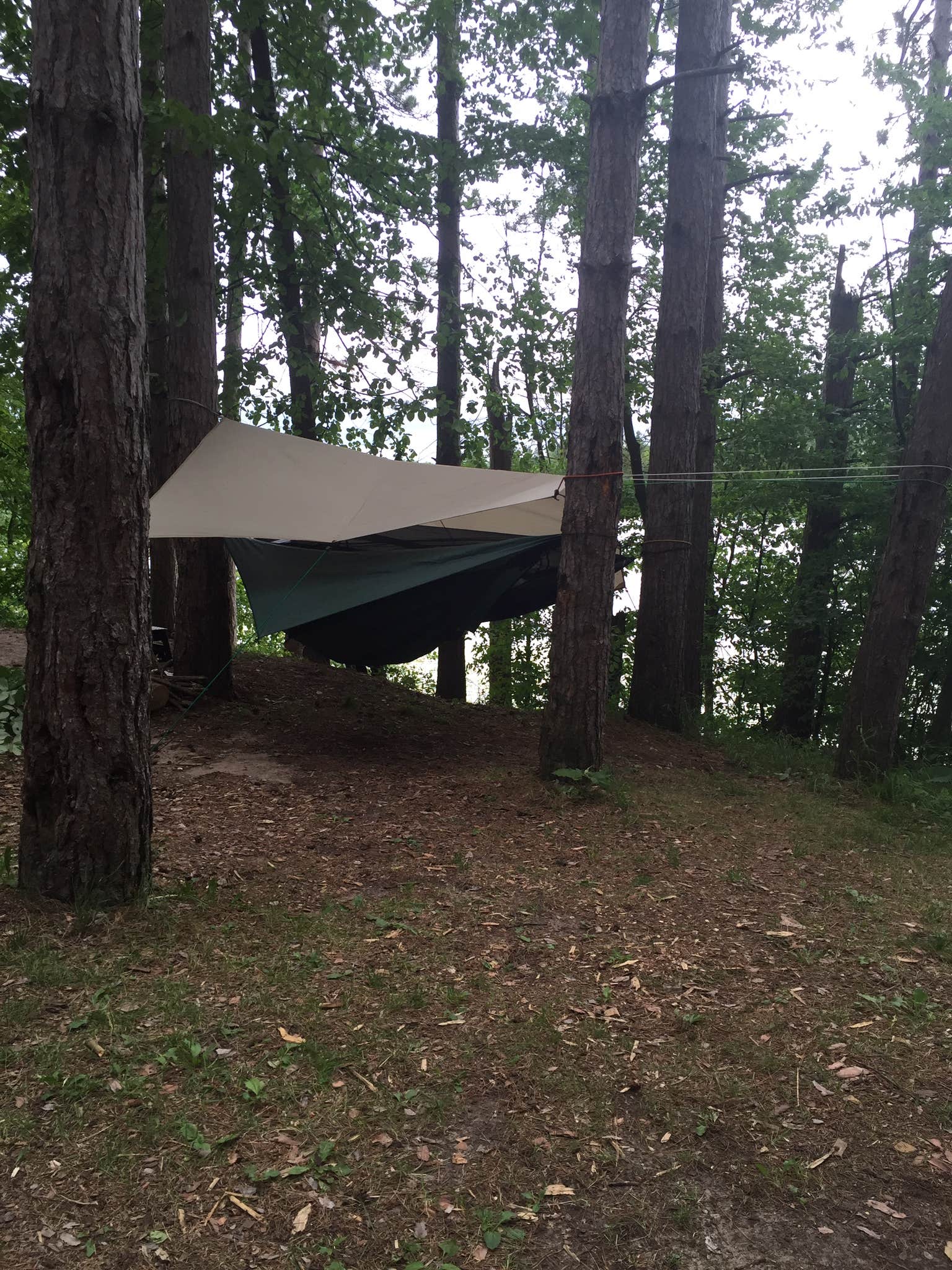Camper submitted image from Haymarsh State Game Area - 2