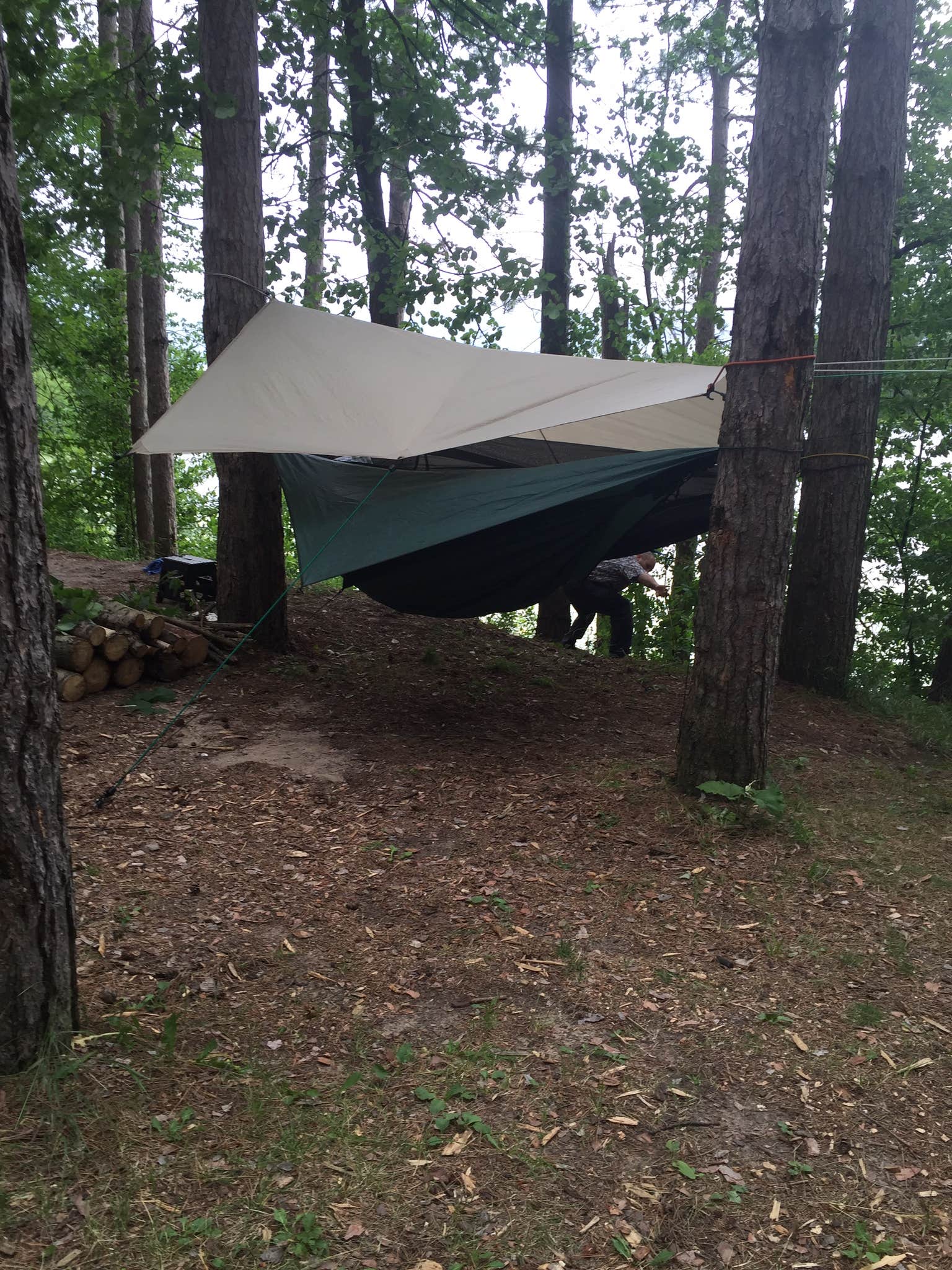 Camper submitted image from Haymarsh State Game Area - 3