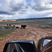 Review photo of Knowles Overlook Campground by Malcolm C., April 18, 2023