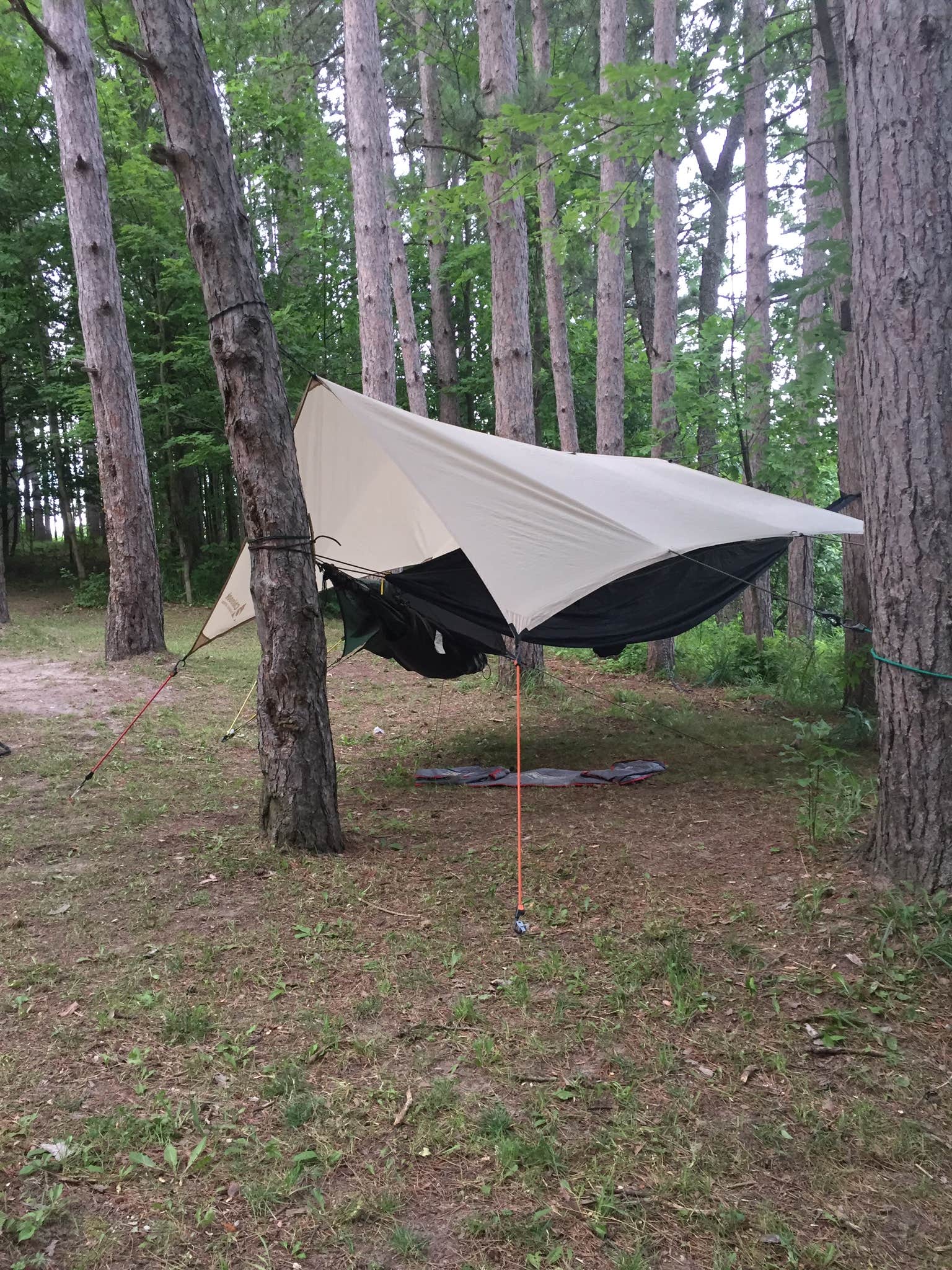 Camper-submitted photo at Haymarsh State Game Area near Alma, MI