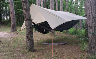 Dawn K.'s photo at Haymarsh State Game Area near Lake, MI