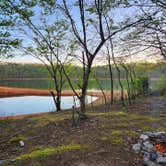 Review photo of TVA Public Land- Fork Bend by Mystic S., April 18, 2023