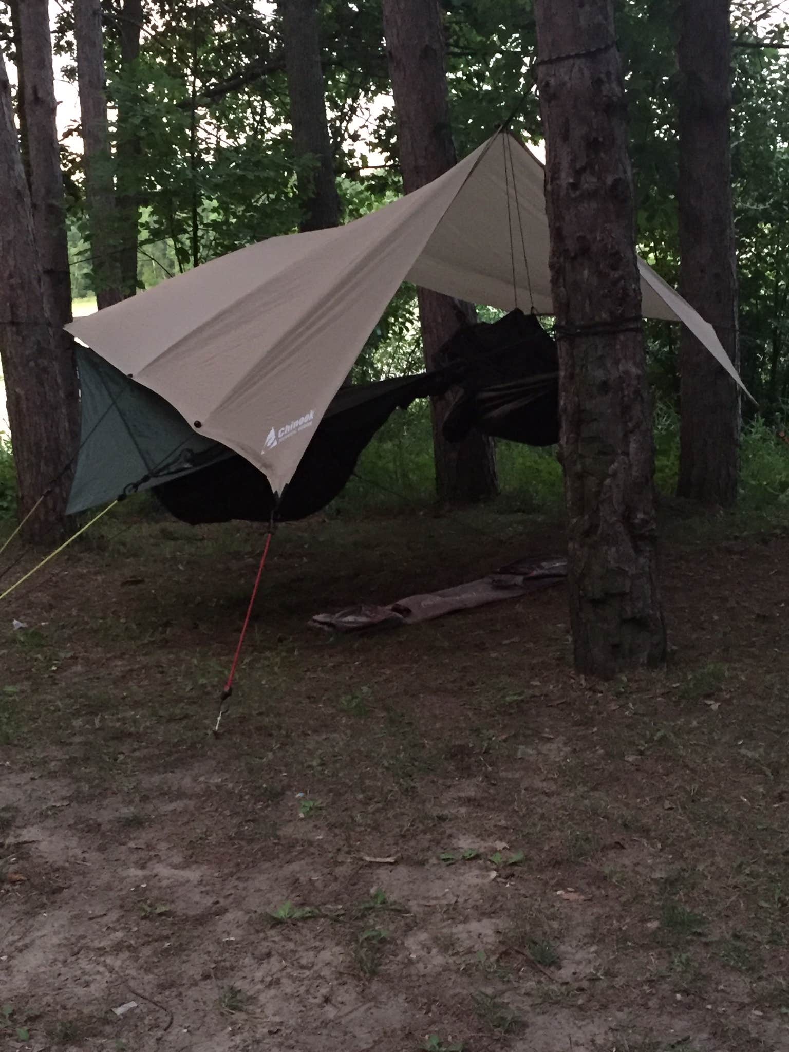 Camper-submitted photo at Haymarsh State Game Area near Alma, MI