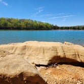Review photo of TVA Public Land- Fork Bend  by Mystic S., April 18, 2023