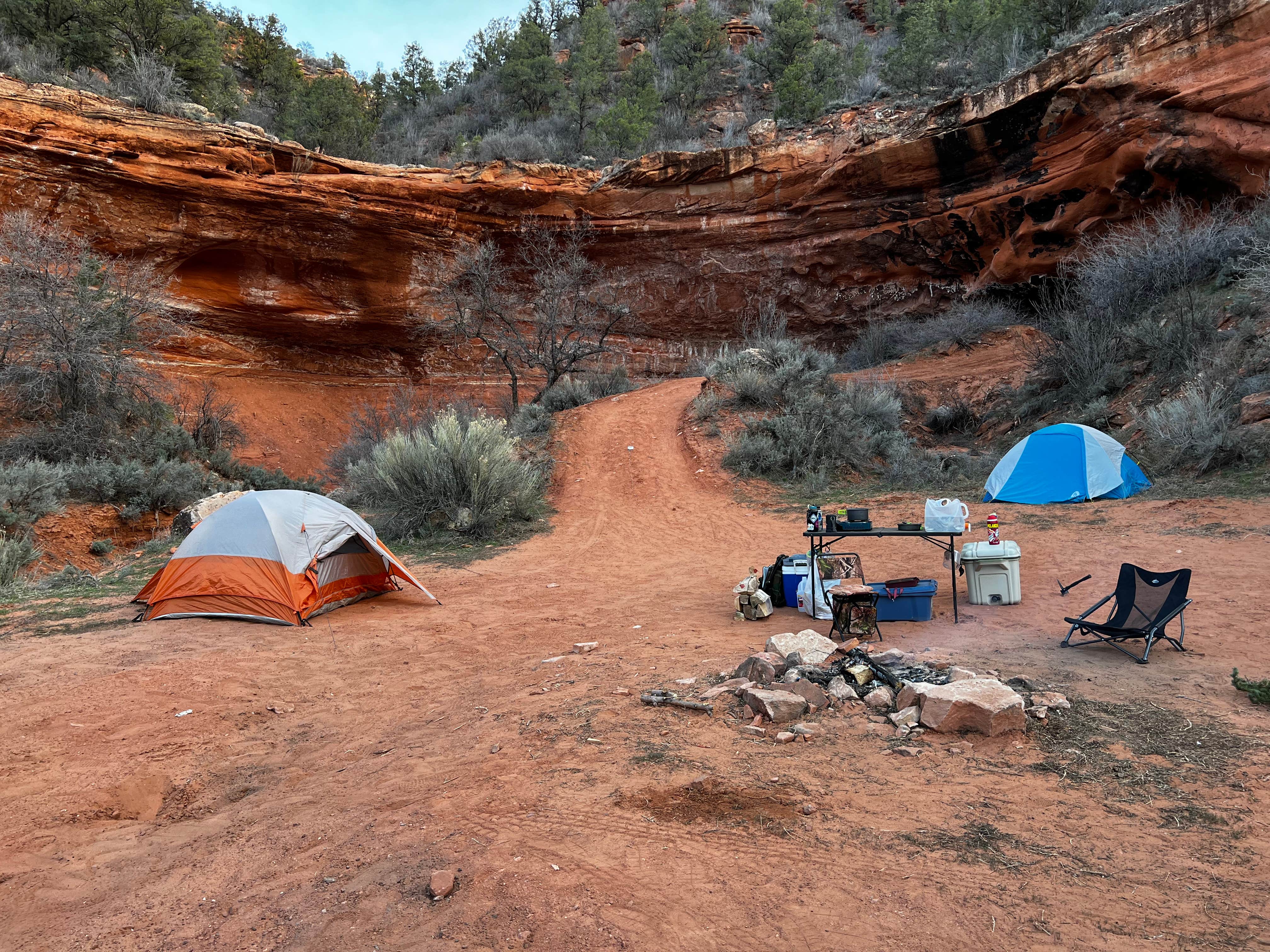 Alex B.'s photo of a dispersed camping area at Hog Canyon near Orderville, UT