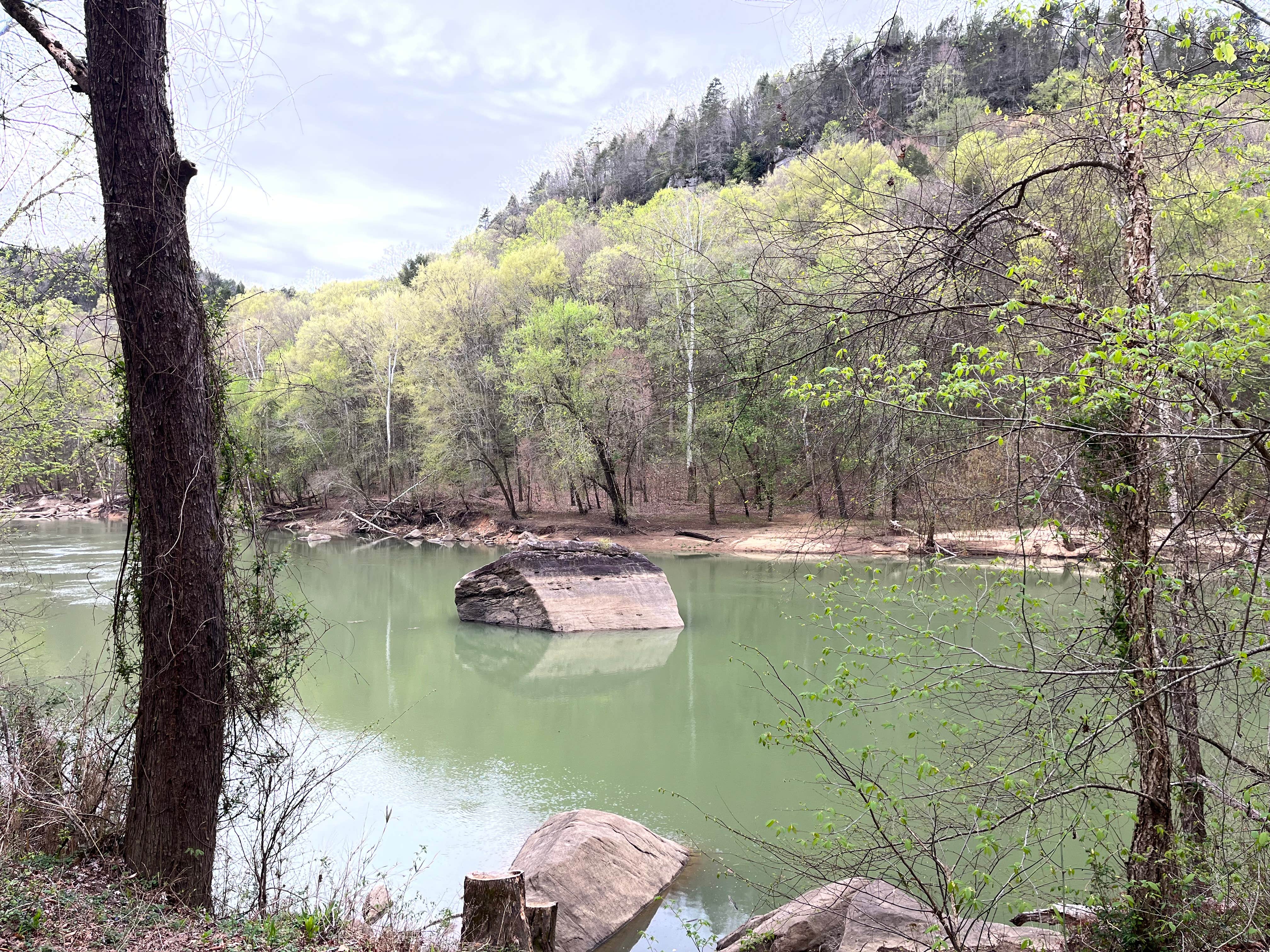Camper-submitted photo at Bee Rock Rec Area near Somerset, KY