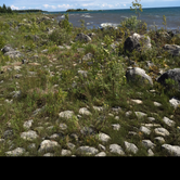 Review photo of Hog Island Point State Forest Campground by Dawn K., October 4, 2018