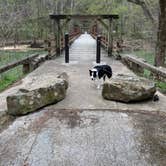 Review photo of Bee Rock Rec Area by Daniel M., April 18, 2023