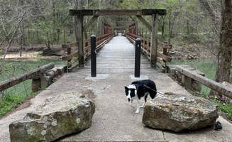 Daniel M.'s photo of camping with pets at Bee Rock Rec Area near Laurel River Lake