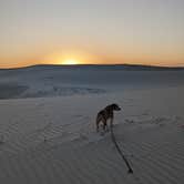 Review photo of Monahans Sandhills State Park Campground by Fern B., April 18, 2023