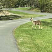 Review photo of South Marcum Campground by robert M., April 18, 2023