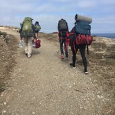 Review photo of Anacapa Island Campground — Channel Islands National Park by Jo R., August 16, 2016