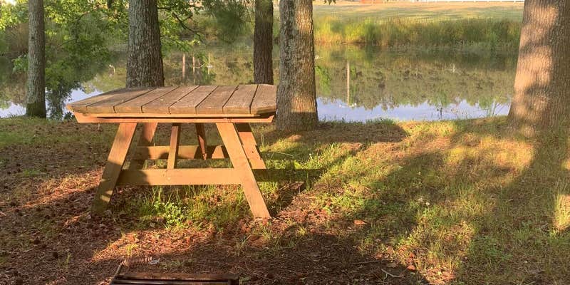 Camper submitted image from Strawberry Crossroads