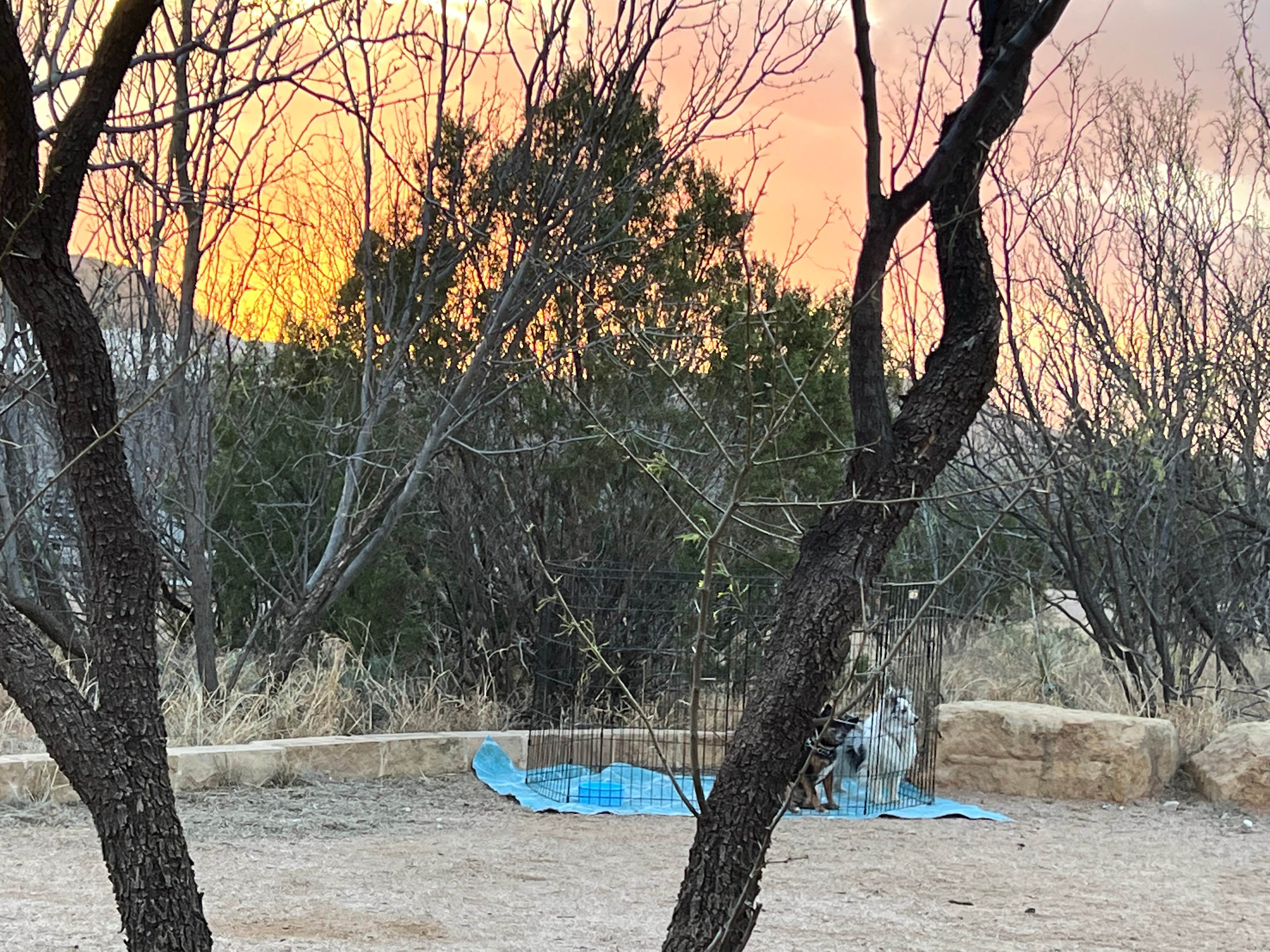 Maggie  C.'s photo of camping with pets at Juniper Campground — Palo Duro Canyon State Park near Vega, TX