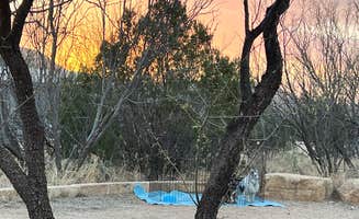 Maggie C.'s photo of camping with pets at Juniper Campground — Palo Duro Canyon State Park near McClellan Creek National Grassland