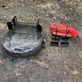 Review photo of Trap Pond State Park Campground by Thomas G., April 18, 2023