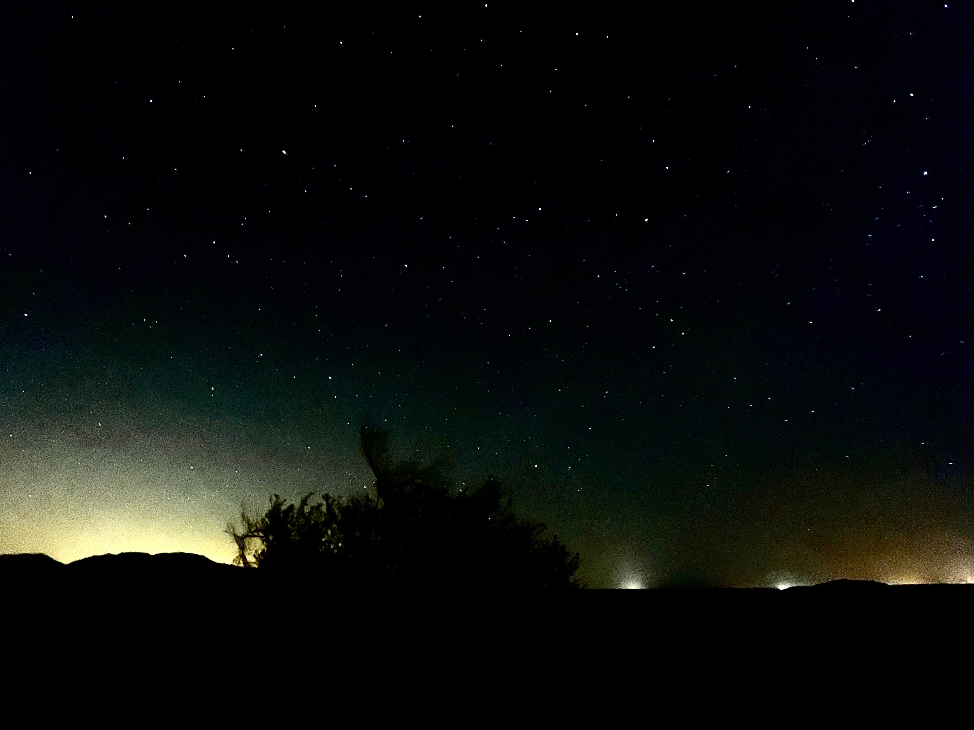 Camping near The South Forty (Group Camp): Leapin' Lizard RV Ranch, Borrego Springs, California