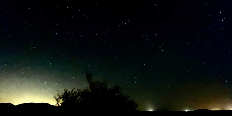 Camper submitted image from Leapin' Lizard RV Ranch