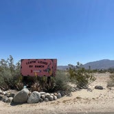 Review photo of Leapin' Lizard RV Ranch by Juliet L., April 18, 2023