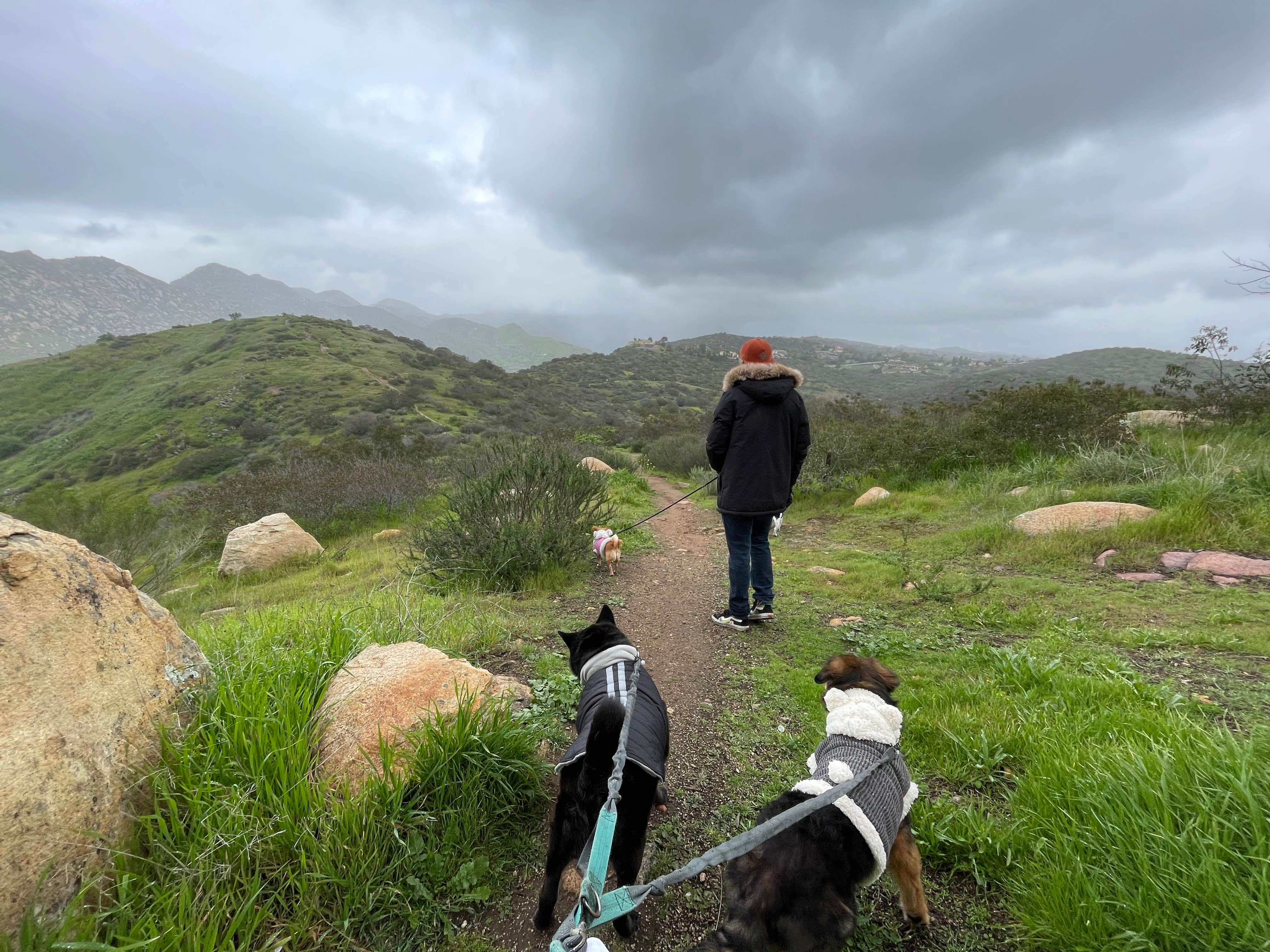 Juliet L.'s photo of camping with pets at Lake Jennings near Spring Valley, CA