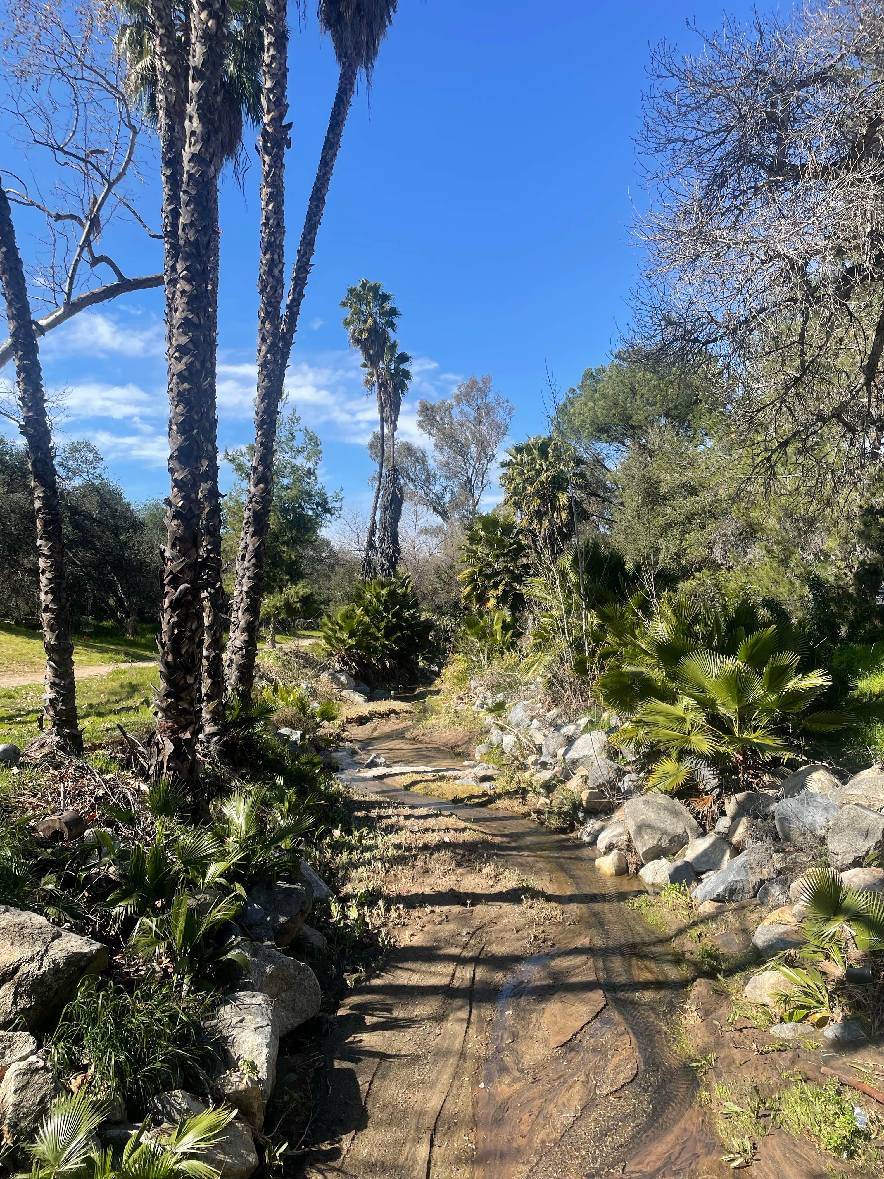 Camper-submitted photo at Rancho Los Coches RV Park near Bonita, CA