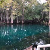 Review photo of Manatee Springs State Park Campground by Tracy T., October 4, 2018