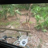 Review photo of Manatee Springs State Park Campground by Tracy T., October 4, 2018