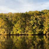 Review photo of Manatee Springs State Park Campground by Tracy T., October 4, 2018