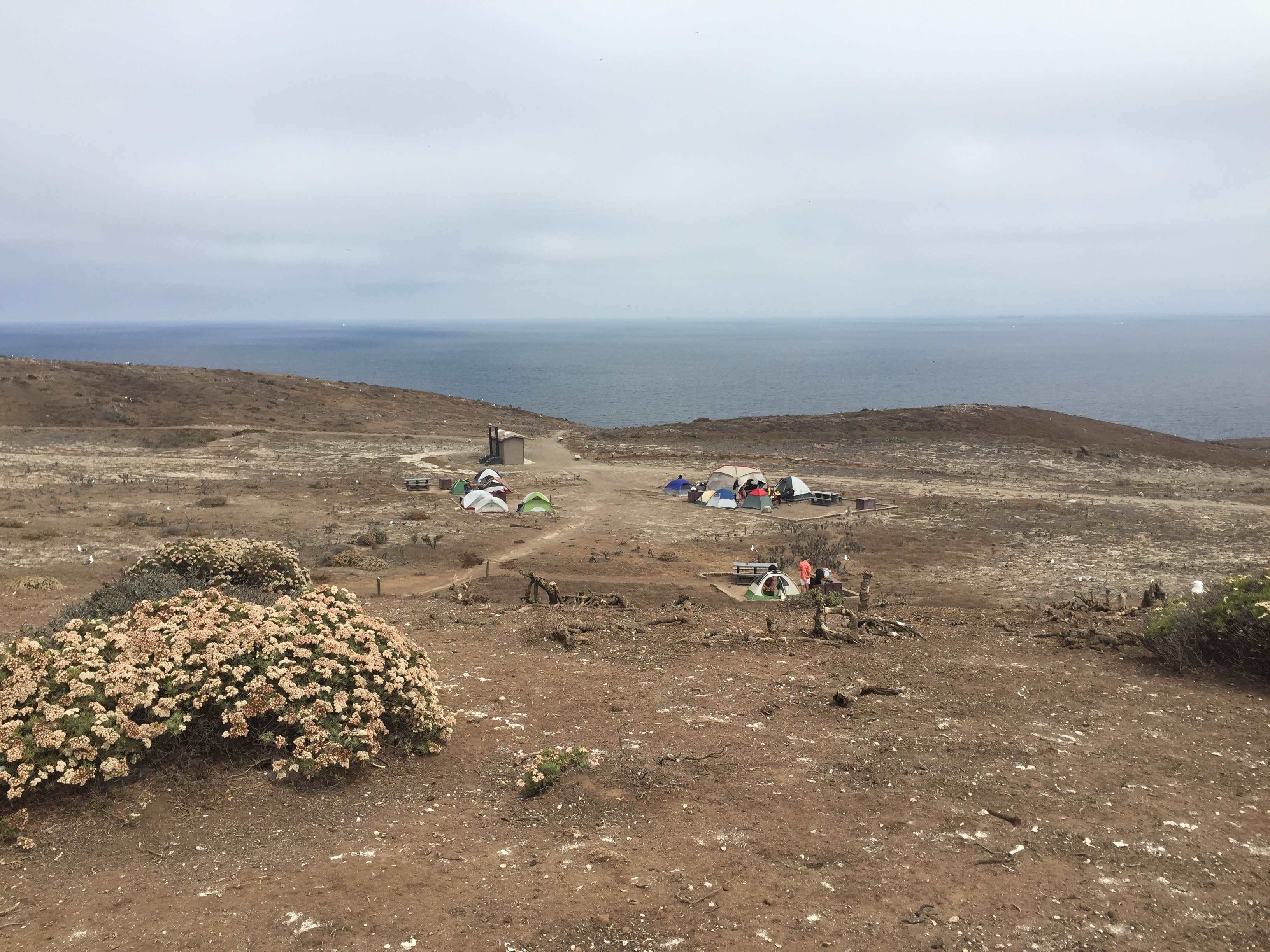 Camper-submitted photo at Anacapa Island Campground — Channel Islands National Park near Channel Islands National Park