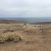 Review photo of Anacapa Island Campground — Channel Islands National Park by Jo R., August 16, 2016