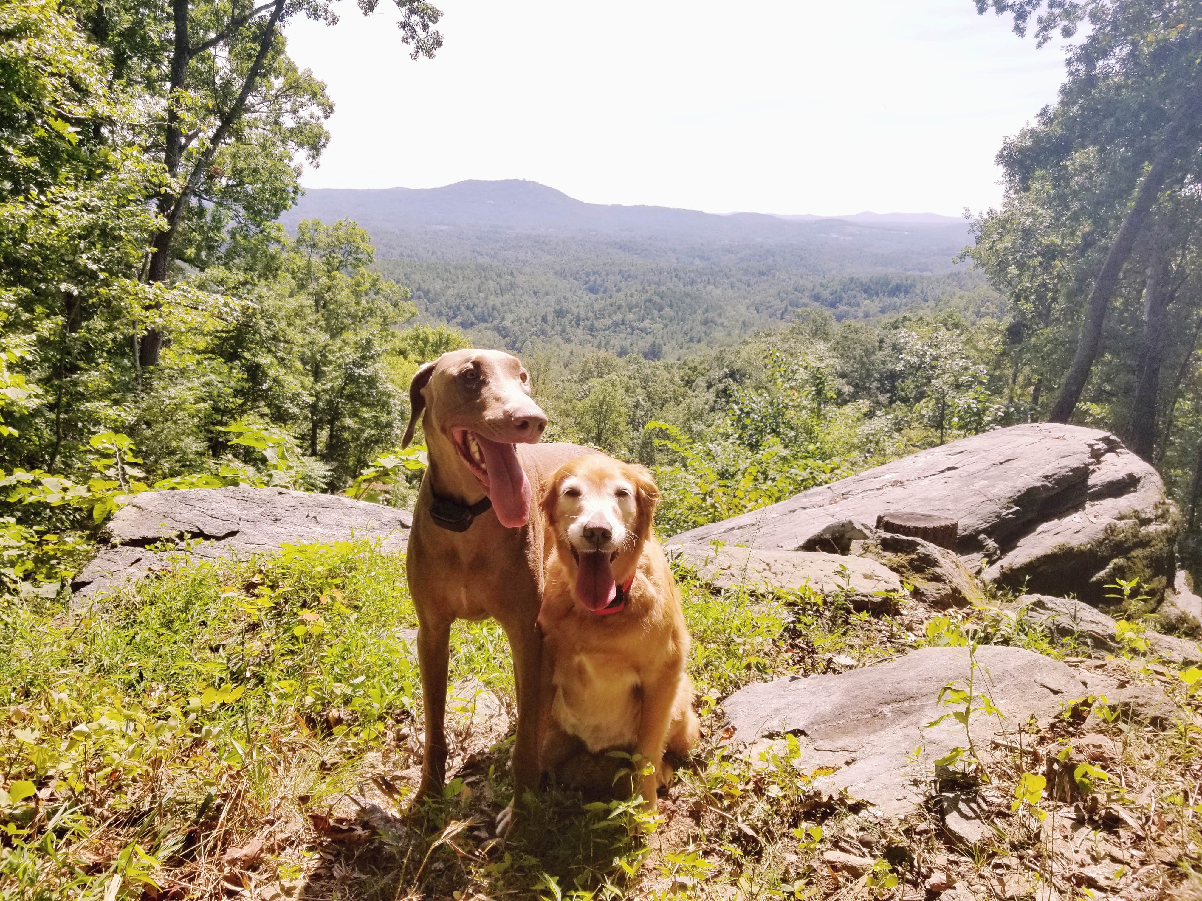 Kristen W.'s photo of camping with pets at Thousand Trails Green Mountain near Granite Falls, NC