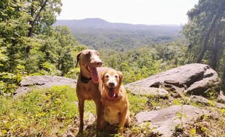 Kristen W.'s photo of camping with pets at Thousand Trails Green Mountain near Granite Falls, NC