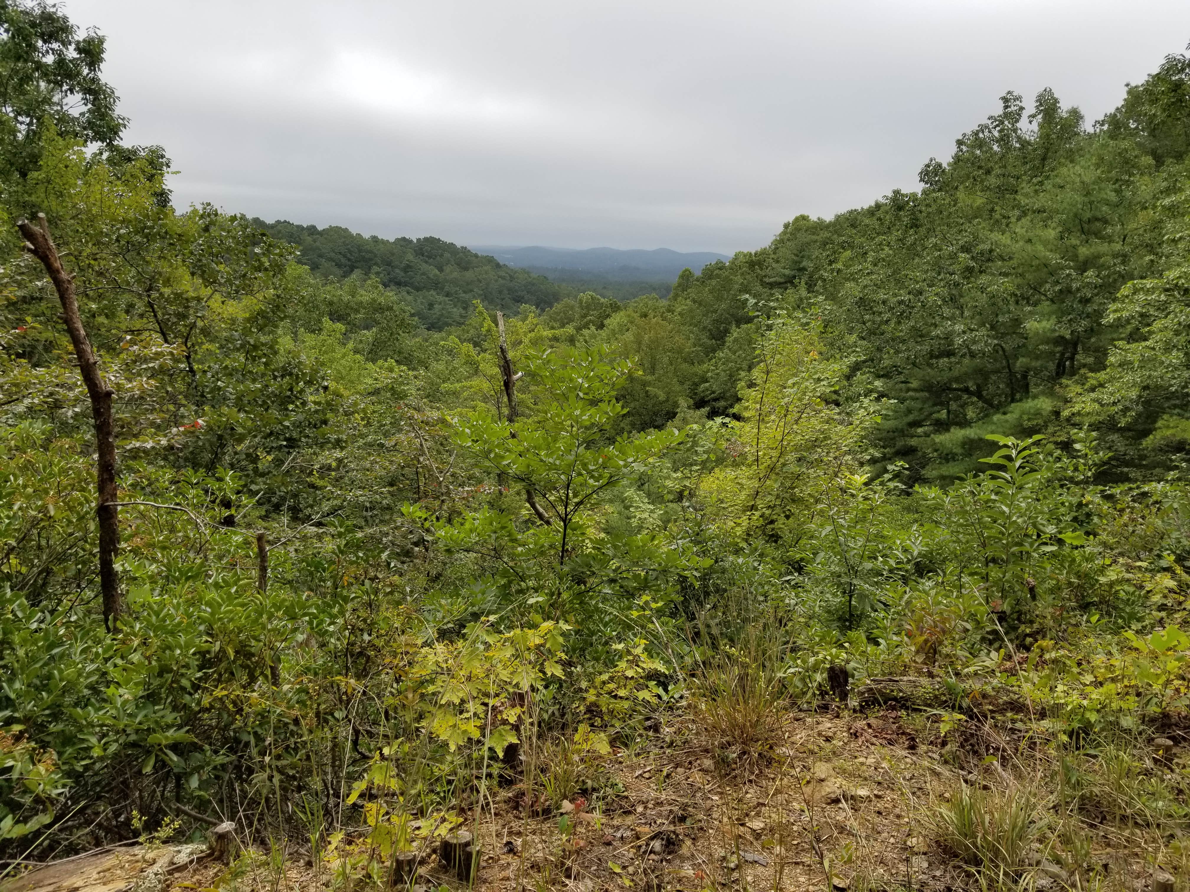 Nature