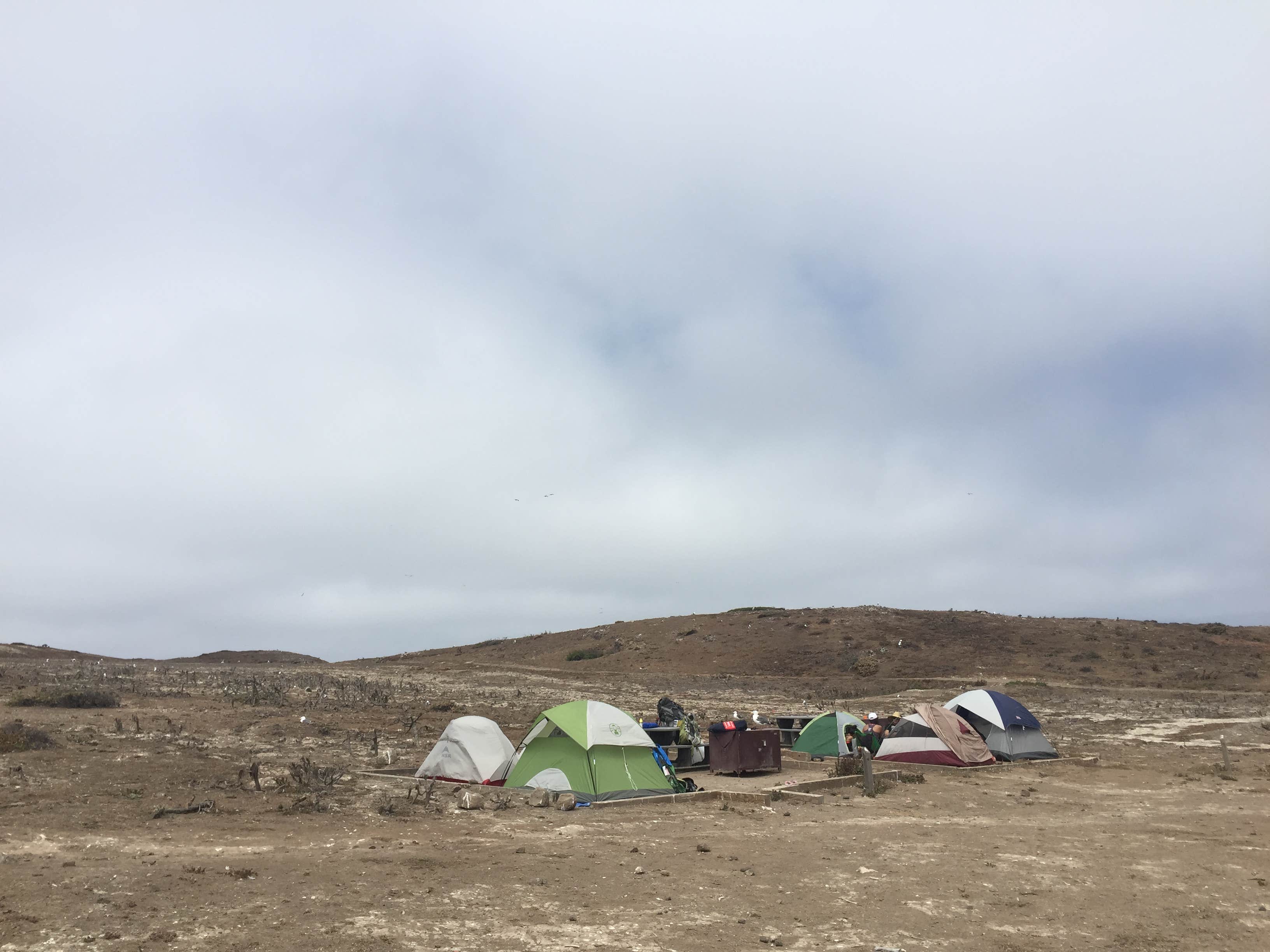 Camper-submitted photo at Anacapa Island Campground — Channel Islands National Park near Channel Islands National Park