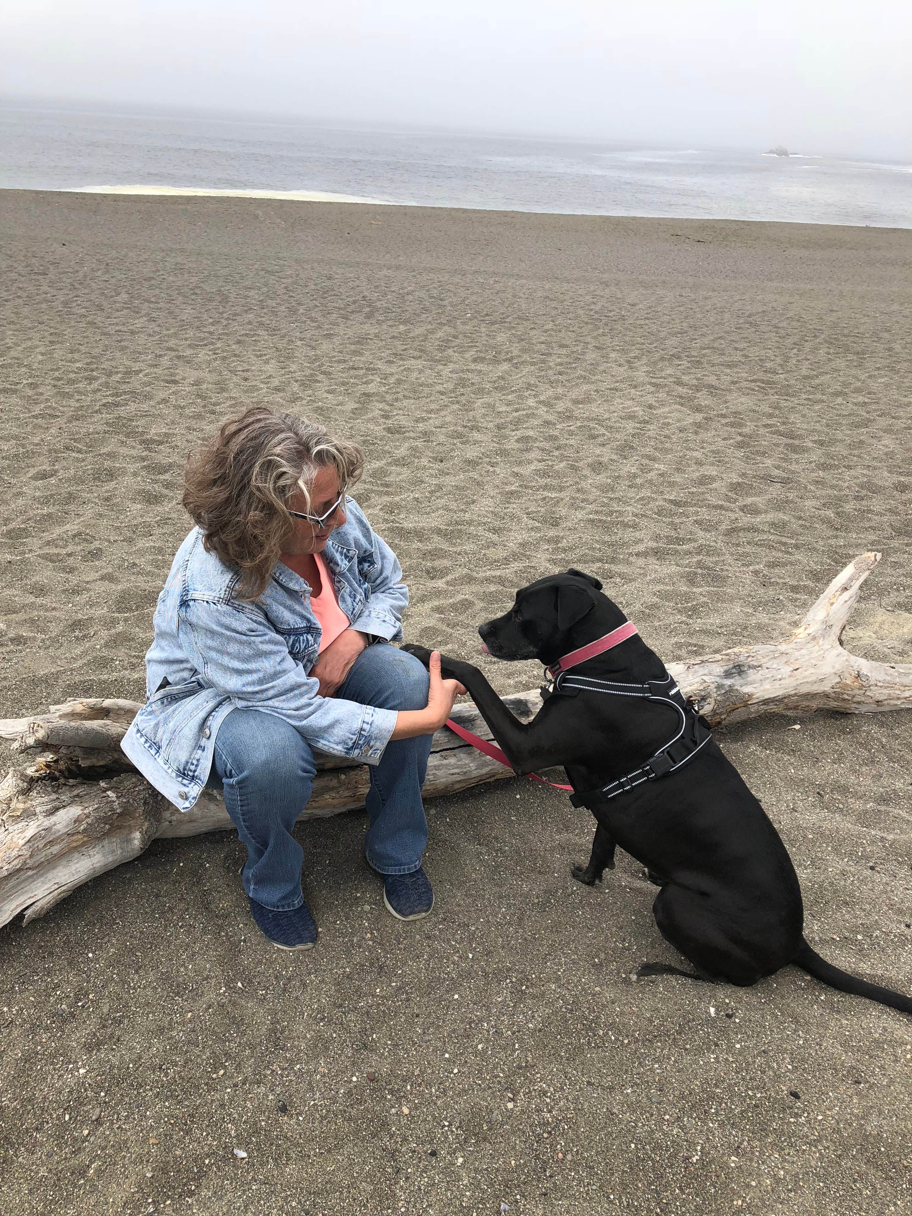 Camper submitted image from Wright's Beach Campground — Sonoma Coast State Park - 3