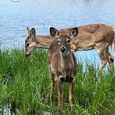 Review photo of Maumee Bay State Park Campground by Daniel S., April 19, 2023