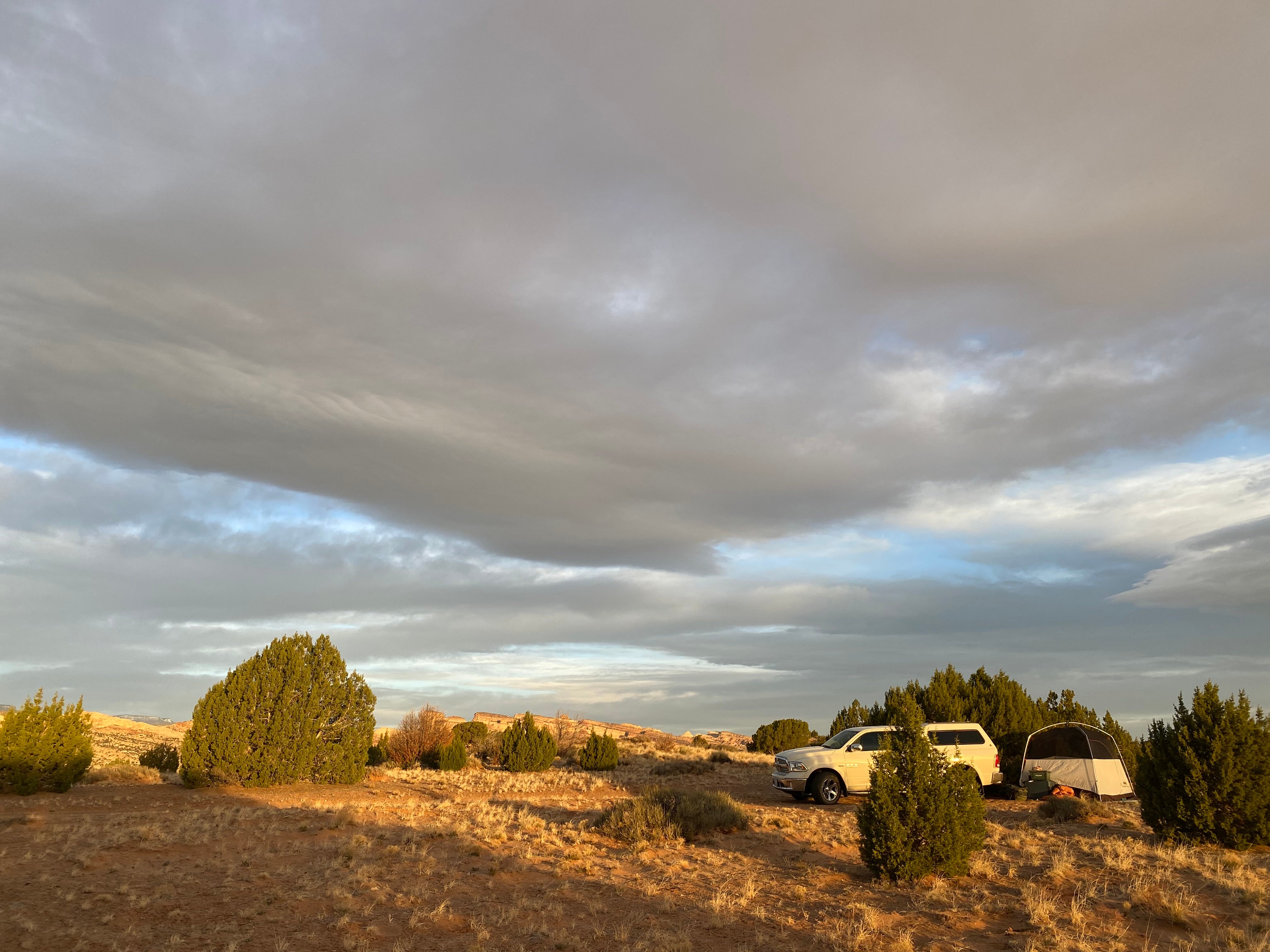 Camper submitted image from Capitol Reef Dispersed Camping  - 5