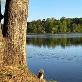 Review photo of Petit Jean State Park — Petit Jean State Park by Amanda F., April 19, 2023